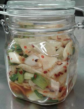 Daikon 600